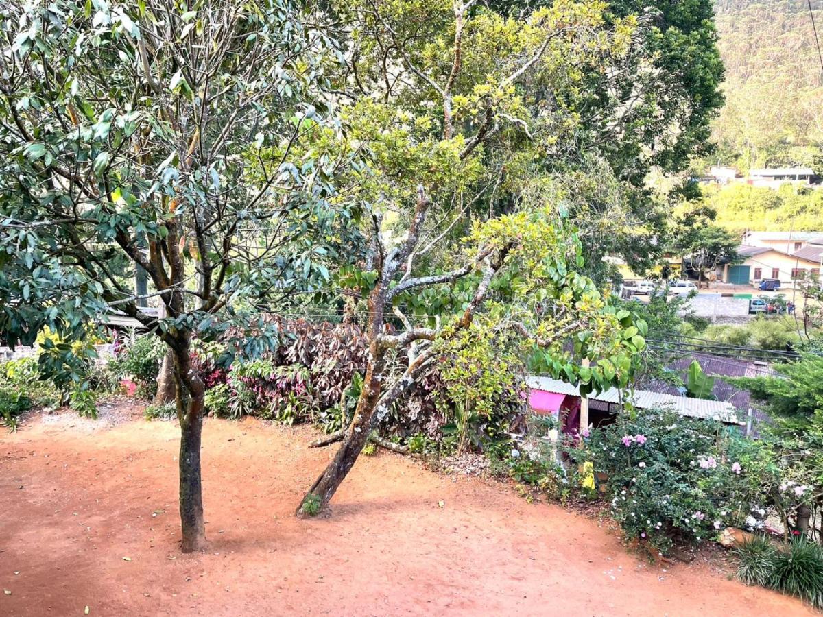 Hotel Mango Tree Nearest Adam'S Peak Nallathanniya Eksteriør bilde