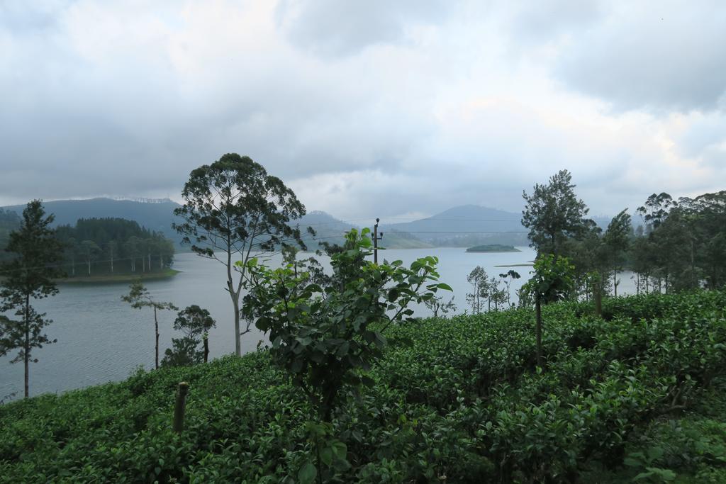 Hotel Mango Tree Nearest Adam'S Peak Nallathanniya Eksteriør bilde
