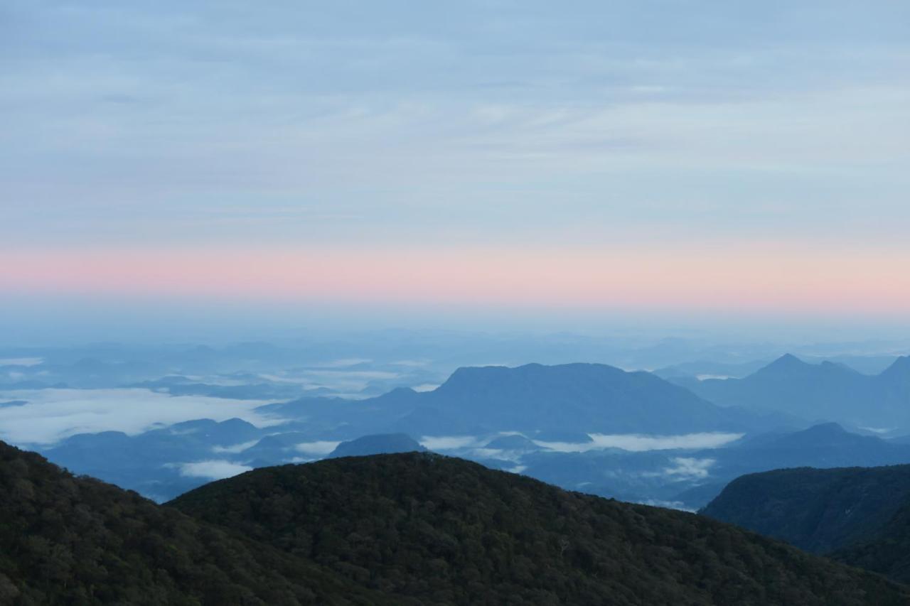 Hotel Mango Tree Nearest Adam'S Peak Nallathanniya Eksteriør bilde